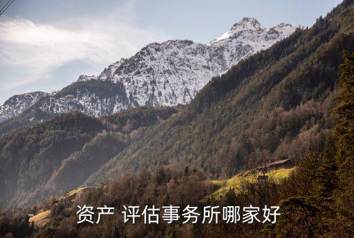 武漢宏信資產(chǎn)評估有限公司,山東宏信土地房地產(chǎn)資產(chǎn)評估有限公司