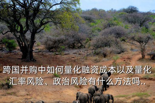 跨國(guó)并購(gòu)中如何量化融資成本以及量化匯率風(fēng)險(xiǎn)、政治風(fēng)險(xiǎn)有什么方法嗎...
