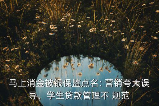 銀行保險(xiǎn)營(yíng)銷(xiāo)話(huà)術(shù)不規(guī)范,根據(jù)9號(hào)令,銀行保險(xiǎn)應(yīng)當(dāng)規(guī)范營(yíng)銷(xiāo)行為