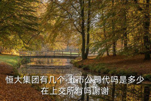 恒大集團(tuán)有幾個 上市公司代嗎是多少在上交所有嗎謝謝
