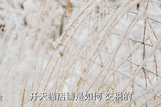 電子商務公司怎么交稅,個人獨資企業(yè)電子商務怎么交稅