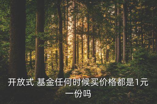 開(kāi)放式 基金任何時(shí)候買(mǎi)價(jià)格都是1元一份嗎