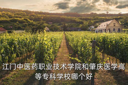 江門中醫(yī)藥職業(yè)技術(shù)學院和肇慶醫(yī)學高等專科學校哪個好