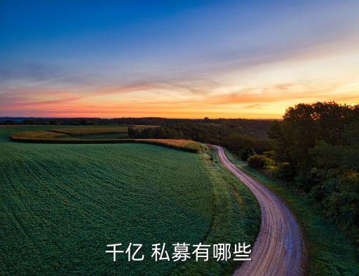 私募股權(quán)投資機構(gòu)規(guī)模排名,pei全球私募股權(quán)投資機構(gòu)300榜單