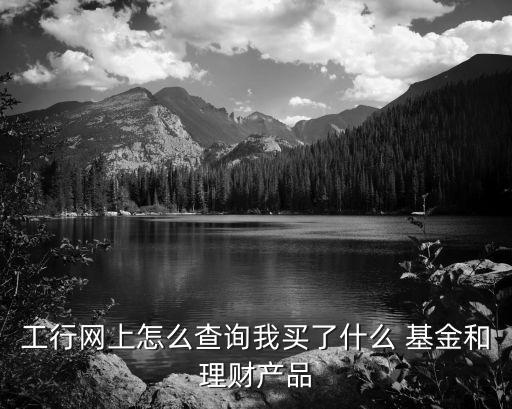 工行網上怎么查詢我買了什么 基金和理財產品