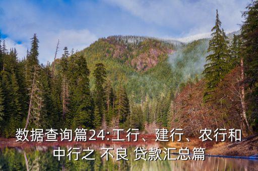 數(shù)據(jù)查詢篇24:工行、建行、農(nóng)行和中行之 不良 貸款匯總篇