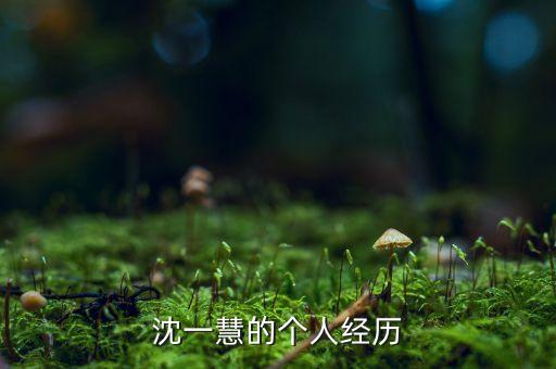 沈一慧的個(gè)人經(jīng)歷