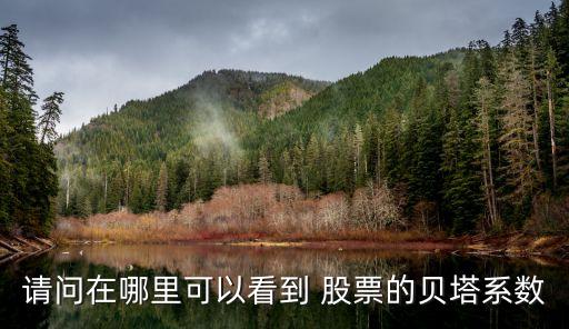 股票beta計(jì)算器,股票成本價(jià)在線(xiàn)計(jì)算器