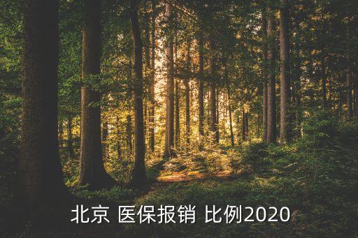 北京醫(yī)保占社保比例,社保報銷比例和醫(yī)保報銷比例是多少