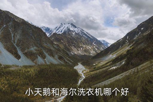 小天鵝公司評(píng)價(jià),美的并購小天鵝評(píng)價(jià)