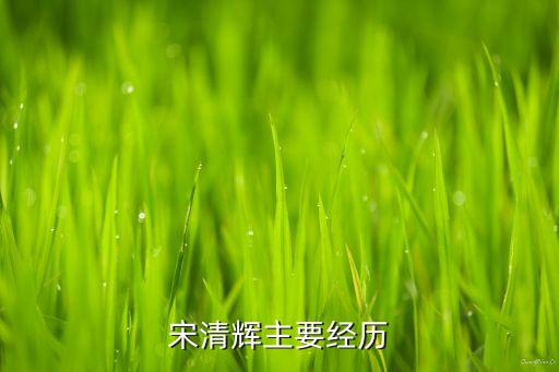 宋清輝主要經歷