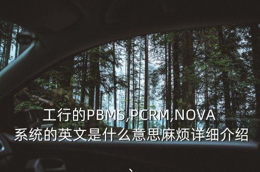 工行的PBMS,PCRM,NOVA 系統(tǒng)的英文是什么意思麻煩詳細(xì)介紹、