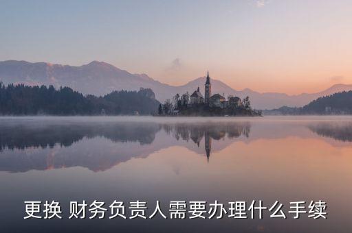 更換 財(cái)務(wù)負(fù)責(zé)人需要辦理什么手續(xù)