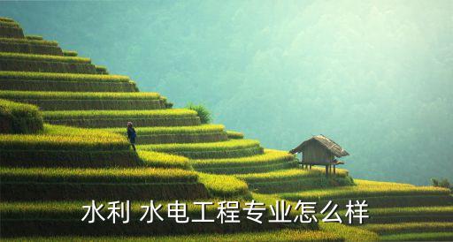 三峽集團(tuán)和雅礱江水電哪個好,國投集團(tuán)雅礱江水電是央企嗎