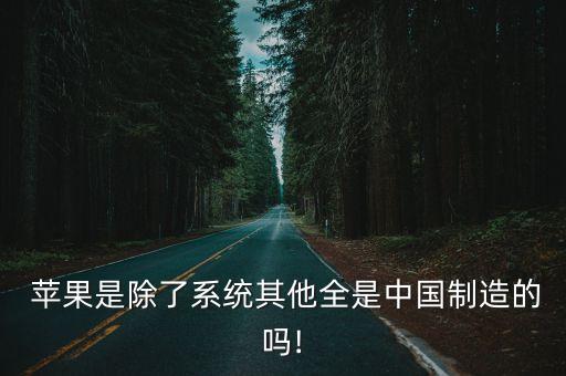 蘋果什中國(guó),蘋果為什么沒有9
