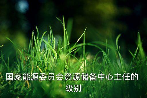 中節(jié)能集團(tuán)什么級(jí)別,中國節(jié)能集團(tuán)董事長什么級(jí)別