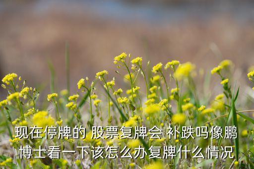 現(xiàn)在停牌的 股票復(fù)牌會 補(bǔ)跌嗎像鵬博士看一下該怎么辦復(fù)牌什么情況