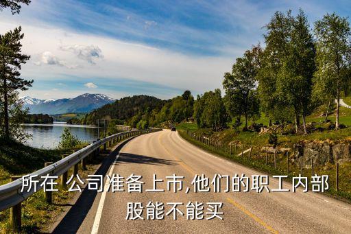 所在 公司準(zhǔn)備上市,他們的職工內(nèi)部股能不能買(mǎi)