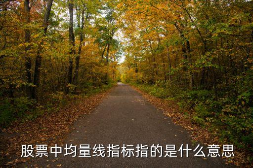 股票月平均量,股票平均價格計(jì)算器