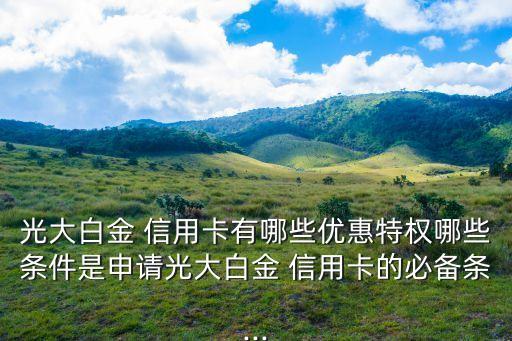 光大白金 信用卡有哪些優(yōu)惠特權(quán)哪些條件是申請(qǐng)光大白金 信用卡的必備條...