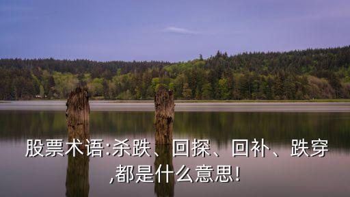 股票術(shù)語(yǔ):殺跌、回探、回補(bǔ)、跌穿,都是什么意思!