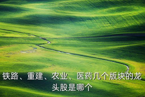 鐵路、重建、農(nóng)業(yè)、醫(yī)藥幾個(gè)版塊的龍頭股是哪個(gè)