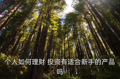 個人如何理財 投資有適合新手的產(chǎn)品嗎