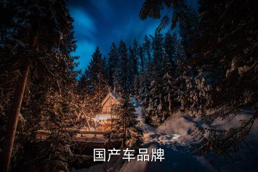 廣汽集團(tuán)入主長(zhǎng)豐汽車(chē)案例分析