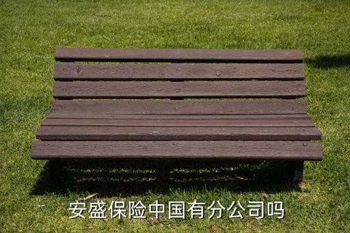  安盛保險(xiǎn)中國有分公司嗎