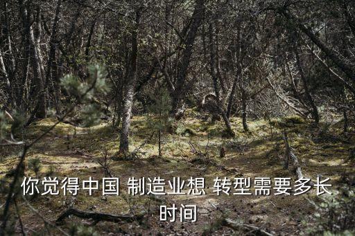 中國制造業(yè)如何轉型,制造業(yè)轉型升級的概念
