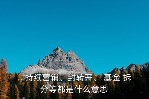 ...持續(xù)營銷、封轉(zhuǎn)開、 基金 拆分等都是什么意思