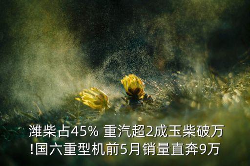  濰柴占45% 重汽超2成玉柴破萬(wàn)!國(guó)六重型機(jī)前5月銷(xiāo)量直奔9萬(wàn)