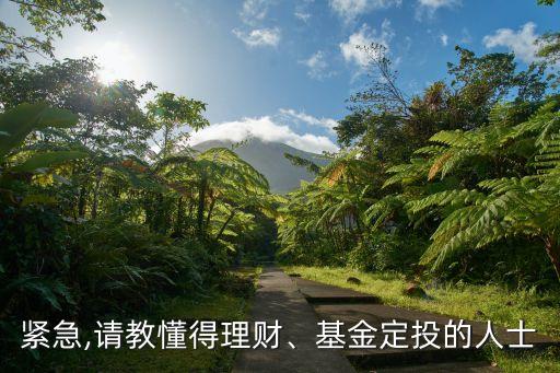 緊急,請教懂得理財、基金定投的人士
