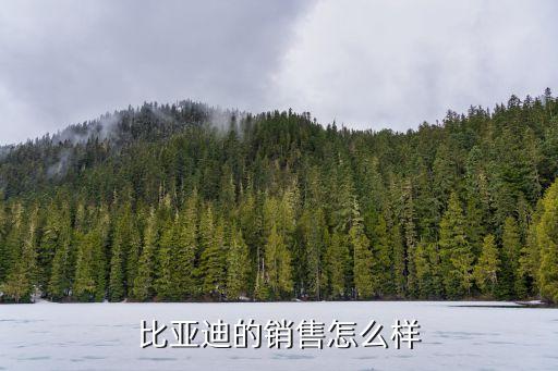 中國(guó)汽車(chē)銷(xiāo)量連續(xù)六年,新能源汽車(chē)銷(xiāo)量連續(xù)