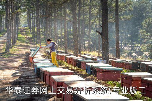 華泰證券網(wǎng)上交易分析系統(tǒng)(專業(yè)版二