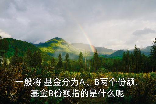一般將 基金分為A、B兩個(gè)份額, 基金B(yǎng)份額指的是什么呢