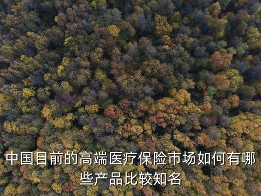 中國目前的高端醫(yī)療保險(xiǎn)市場如何有哪些產(chǎn)品比較知名
