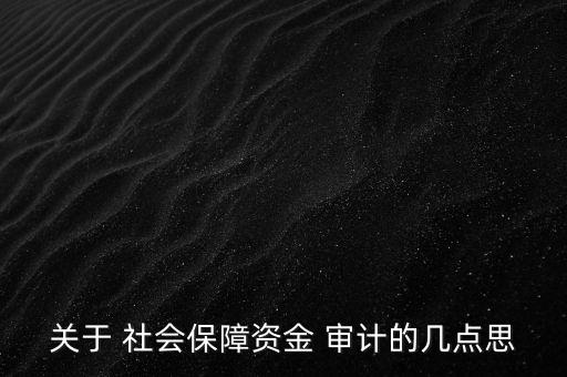 關(guān)于 社會(huì)保障資金 審計(jì)的幾點(diǎn)思