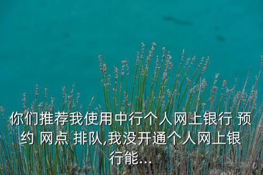 中國(guó)銀行網(wǎng)點(diǎn)預(yù)約排隊(duì),深圳中國(guó)銀行預(yù)約排隊(duì)