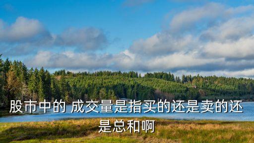 股市中的 成交量是指買(mǎi)的還是賣的還是總和啊