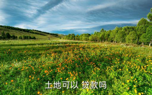 中國首個(gè)土地經(jīng)營權(quán)抵押貸款樣本,農(nóng)村承包土地經(jīng)營權(quán)抵押貸款試點(diǎn)暫行辦法