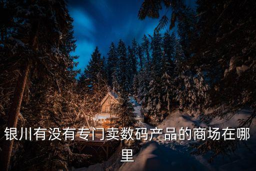 銀川有沒(méi)有專門(mén)賣(mài)數(shù)碼產(chǎn)品的商場(chǎng)在哪里