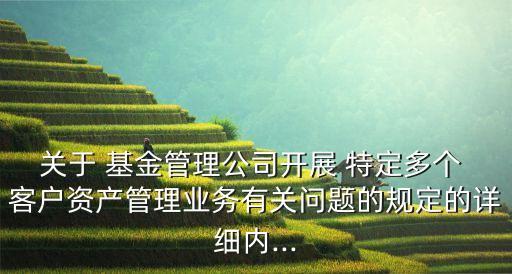 關(guān)于 基金管理公司開展 特定多個 客戶資產(chǎn)管理業(yè)務有關(guān)問題的規(guī)定的詳細內(nèi)...