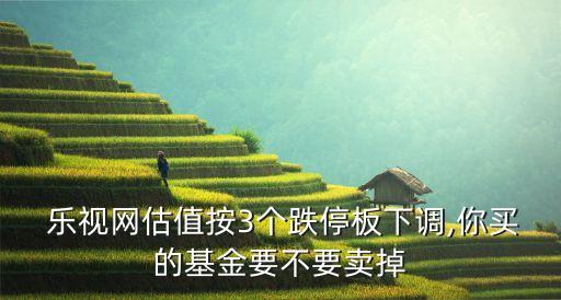 樂視網股票論壇