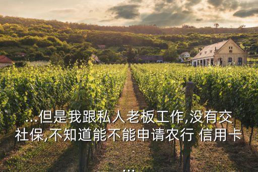 ...但是我跟私人老板工作,沒有交社保,不知道能不能申請(qǐng)農(nóng)行 信用卡...