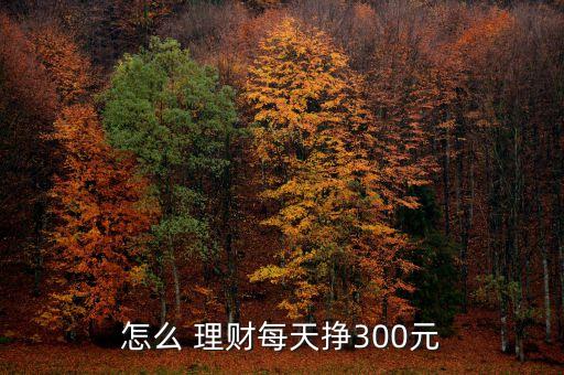 怎么 理財(cái)每天掙300元
