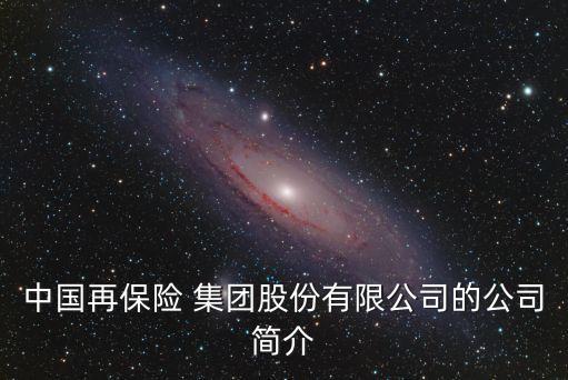 中國再保險(xiǎn) 集團(tuán)股份有限公司的公司簡介