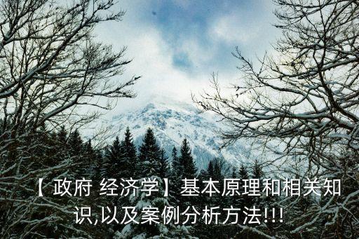 【 政府 經濟學】基本原理和相關知識,以及案例分析方法!!!