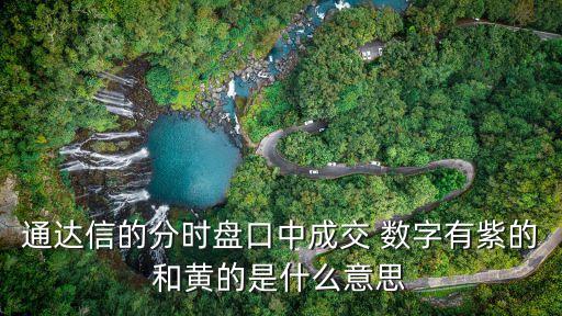 股票大紫單數(shù)字盤(pán)語(yǔ),股票出現(xiàn)很多一樣數(shù)字的賣(mài)單