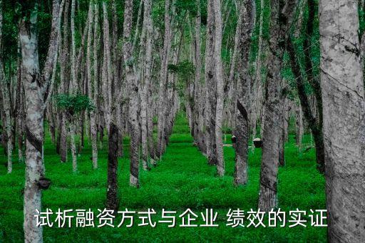 試析融資方式與企業(yè) 績效的實(shí)證